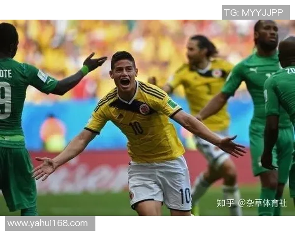 体育胜负预测模型更新