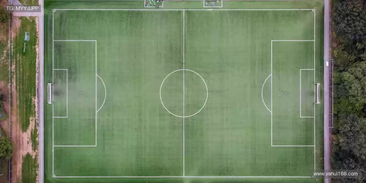 从呐喊到狂欢，每一场赛事都是青春的勋章！🎉🏃